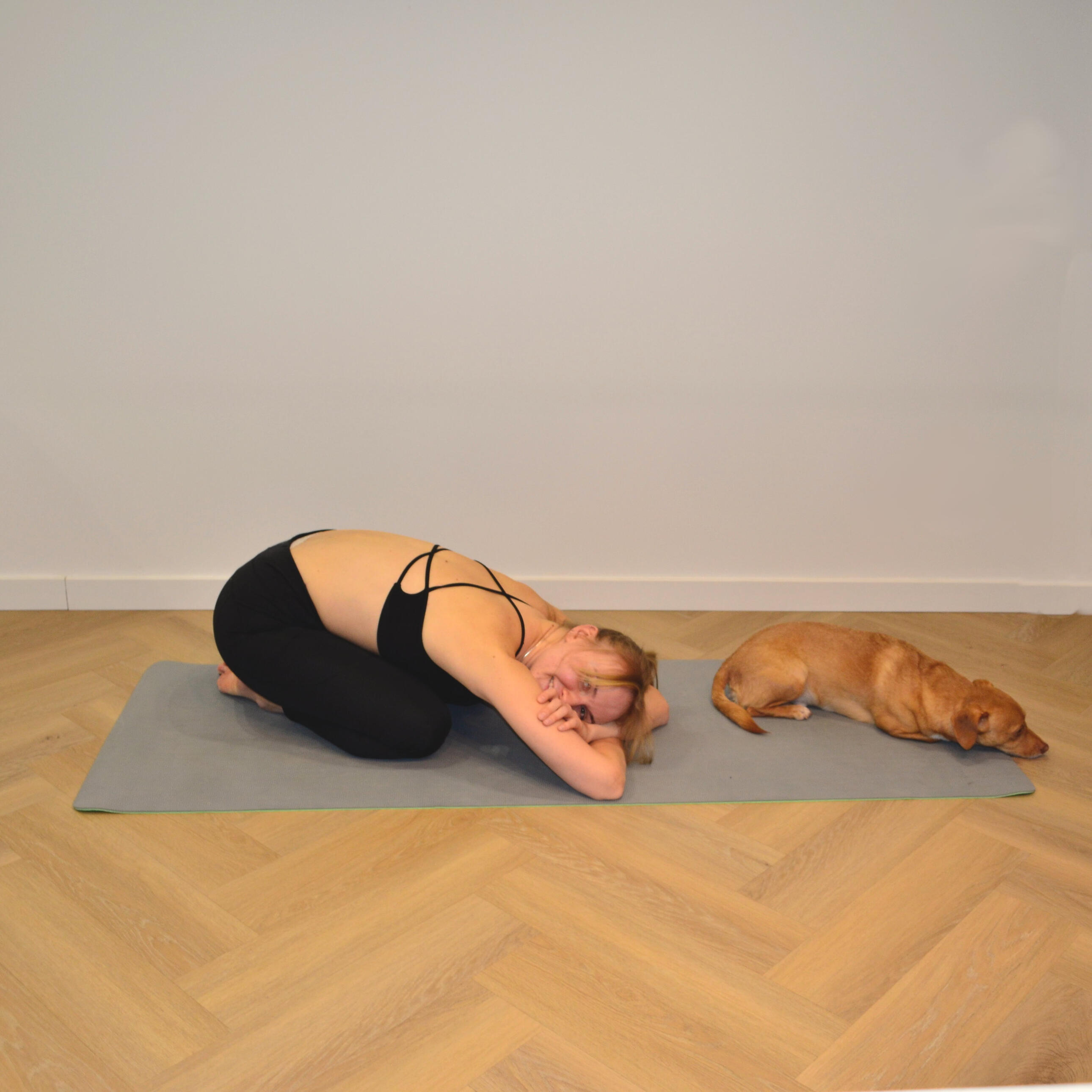 sportas poilsis joga vilnius meditacija sportas poilsis joga vilnius meditacija asana šuo